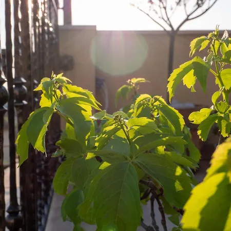 Art Sole Apartamento