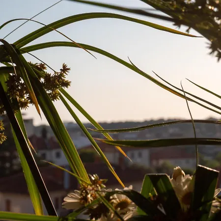 Apartamento Art Sole *