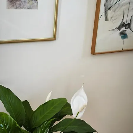 Art Sole 公寓 普拉