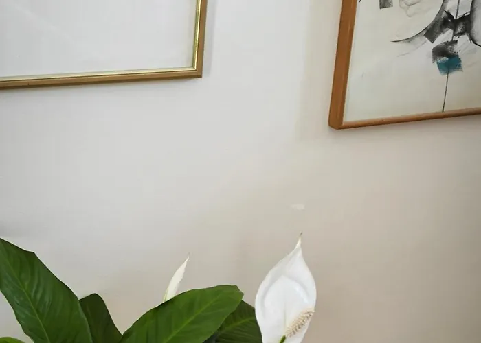 Art Sole Apartment Pula