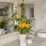 Art Sole Apartment Pula